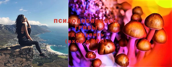 MDMA Premium VHQ Зеленодольск
